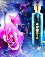 /album/vedlajsi-prijem-essens/cista-kvetinova-jpg/